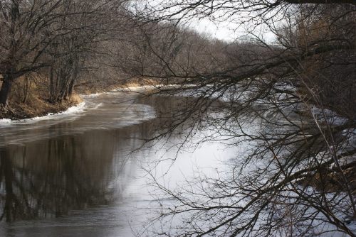 River in Winter