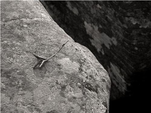 Lonely November 1 2008