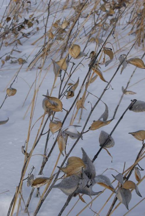 The Rhythm of February