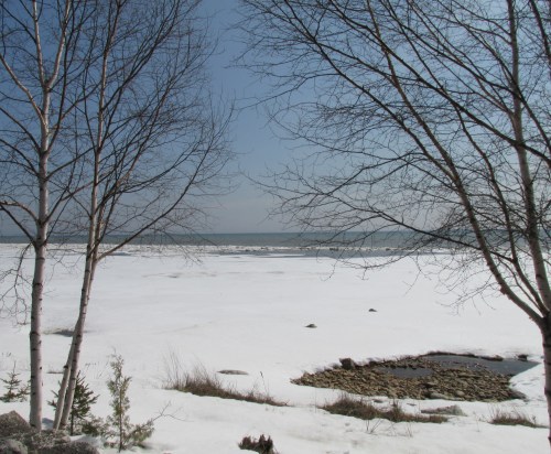 Signs of Spring, Open Water