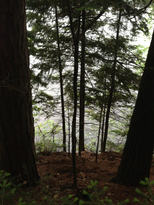 In the Woods, Beside the Lake