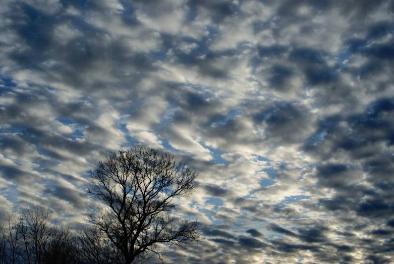 Dapple Clouds and the Outline of Trees