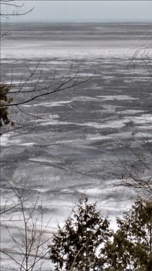 Screen Shot 2016-03-12 at 6.53.19 AM.png