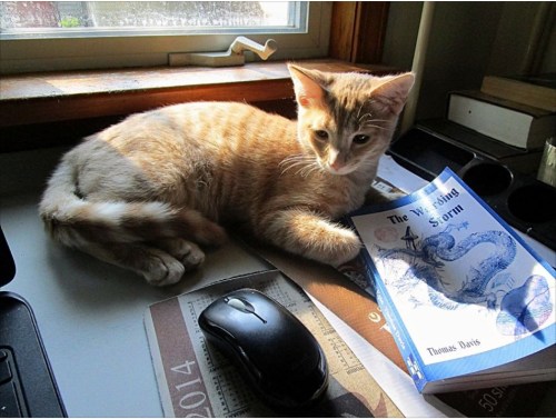 Yoshi and dragons.jpg