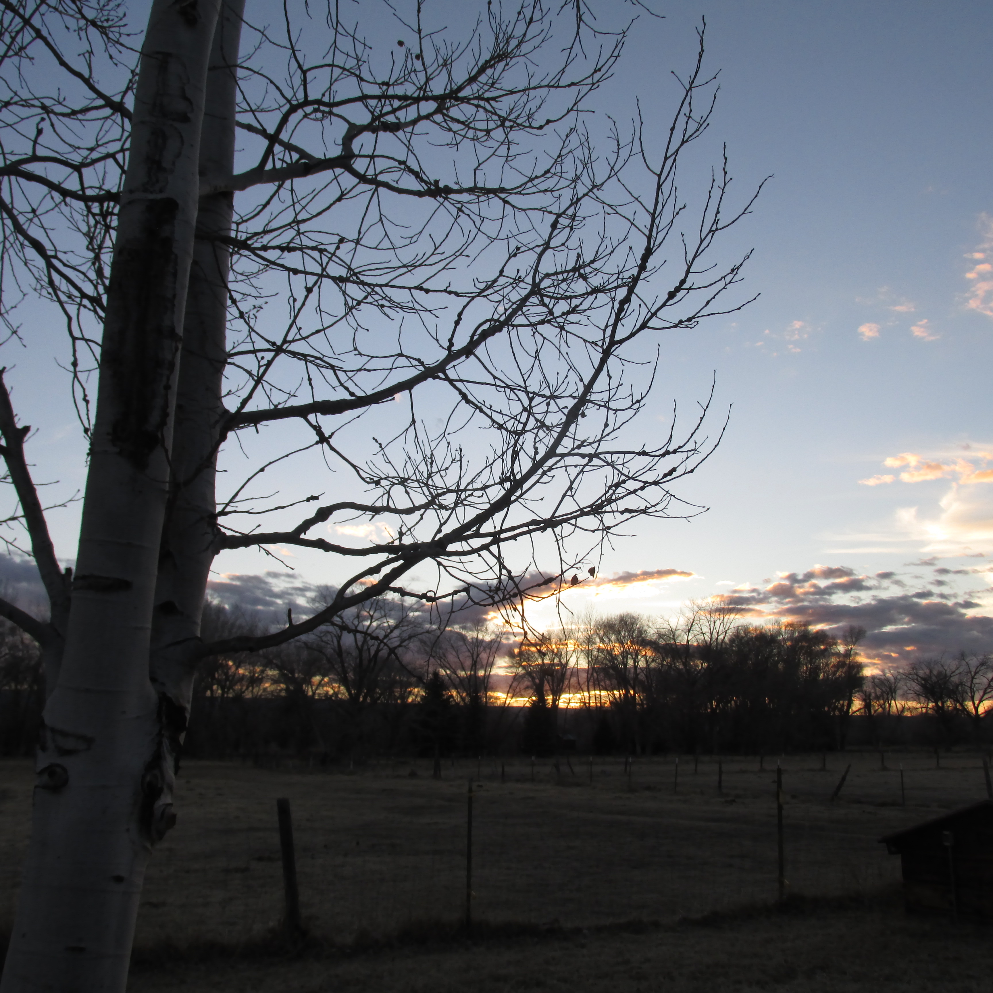 montrose sunset