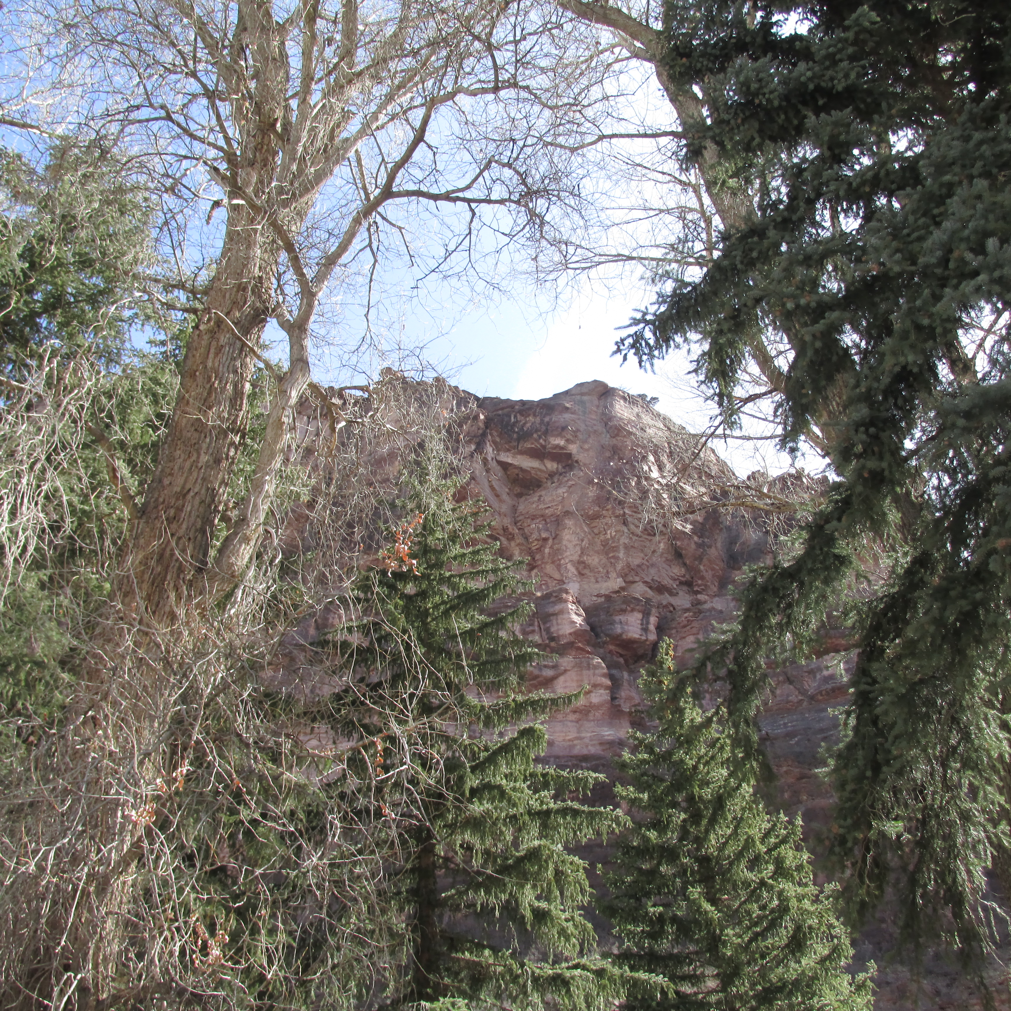 cliff in ouray