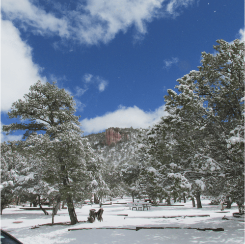 Screen Shot 2019-03-21 at 4.46.15 PM